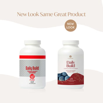 Bottle of Daily Build Capsules—multivitamin infused with minerals, superfruits and herbs/botanicals to support daily wellness, immunity, and overall health. livepure.com