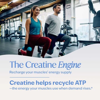 Livepure Creatine Monohydrate