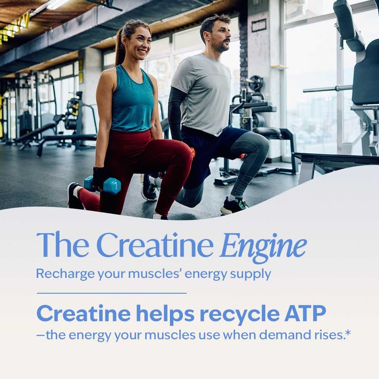 Livepure Creatine Monohydrate